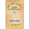 Haru-Biru, Novel Bahruddin Bekri Tentang Cinta dan Pengorbanan