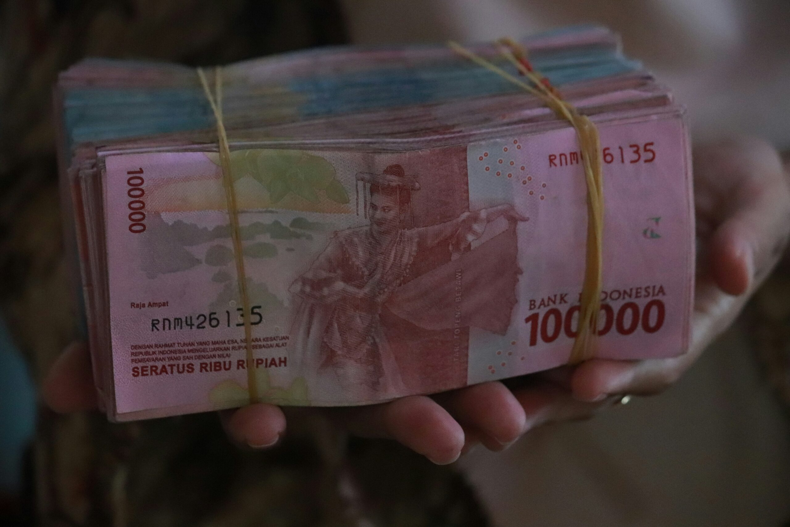 Alokasi Dana Desa 2027 Capai 77 Triliun Rupiah (Foto: unsplash/Mufid Majnun)