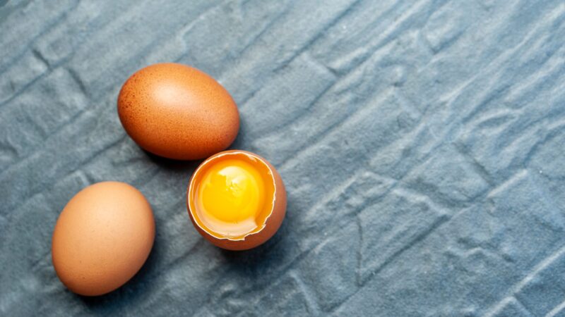 Tips Memilih dan Menyimpan Telur Ayam Berkualitas dari Dosen UNS